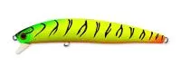 vobler_kosadaka_intra_xs_tt_b vobler_kosadaka_intra_xs_tt_b