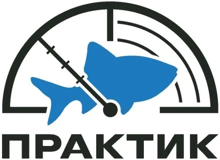Практик Практик