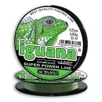iguana iguana