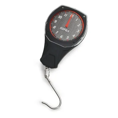 RCDCS12-RCDClockScale