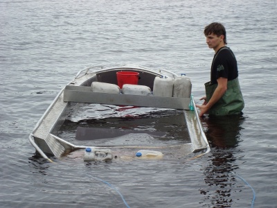 Фото Алюминиевая лодка Wellboat-46 румпельное управление в интернет-магазине Моторыбак