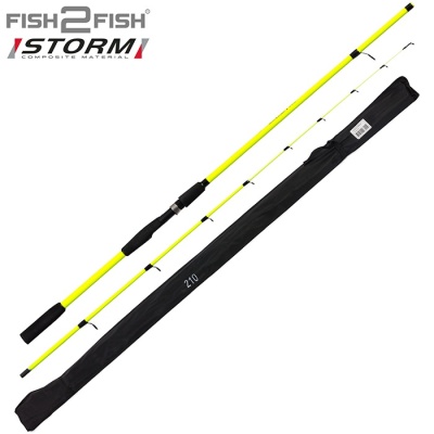Спиннинг шт. ст. 2 колена Fish2Fish Storm (100-200) 2,1 м-2