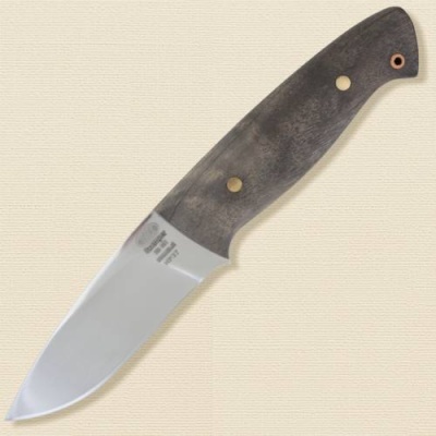 nr37_ei_107_oreh-500x500
