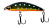 63624007_91c3_4e42_b503_5d06313543f2_c9146fd7_a2fe_11ed_b62e_002590b9376d