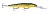 Воблер Rapala  DHJ12 GGM